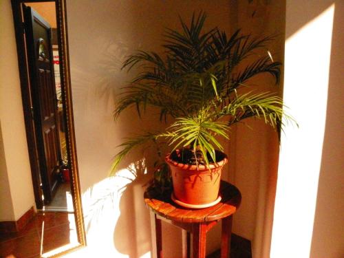 Adrys Boutique Villa - image 10