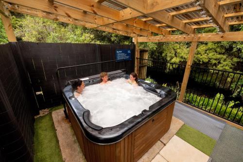 奥阿库尼前10名假日公园酒店