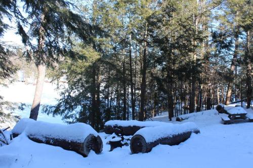 Luxury Cottage in South Parry Sound