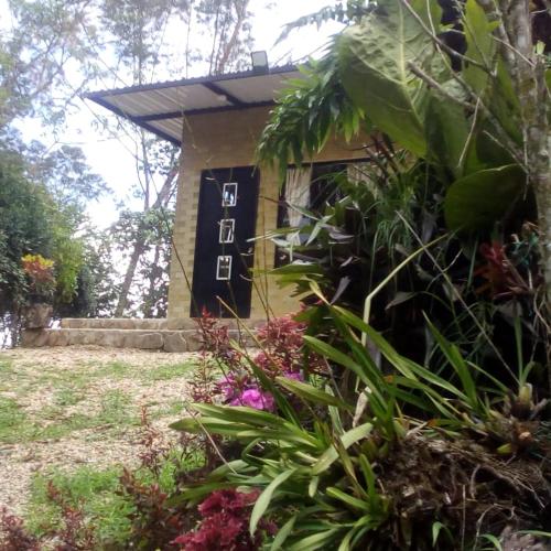 Colibrí