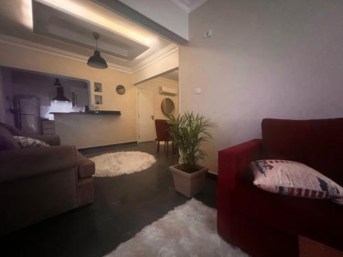 Chill out, An Atmosphere of Sophistication Awaits You, Káhira (fotografie 9)