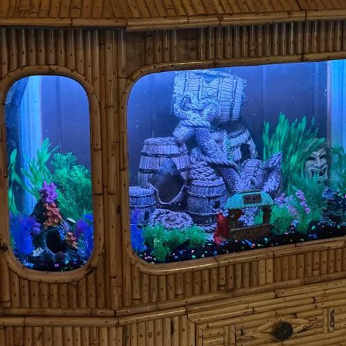 Polynesian Tiki w/Jurassic Room in Ocala, USA