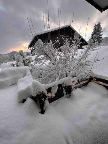 Studio Cabine Face Mont Blanc - Location saisonnière - Combloux