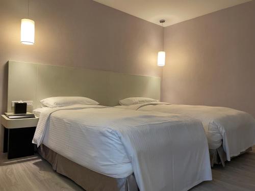 Deluxe Double or Twin Room image 5