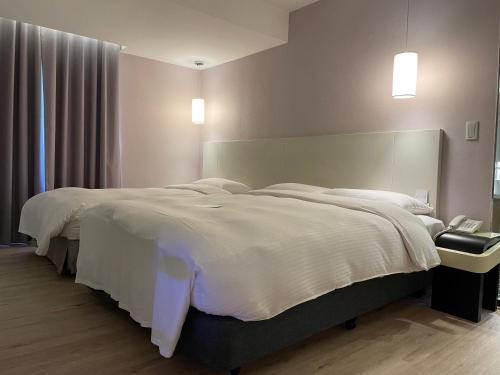 Triple Room with Shower image 4