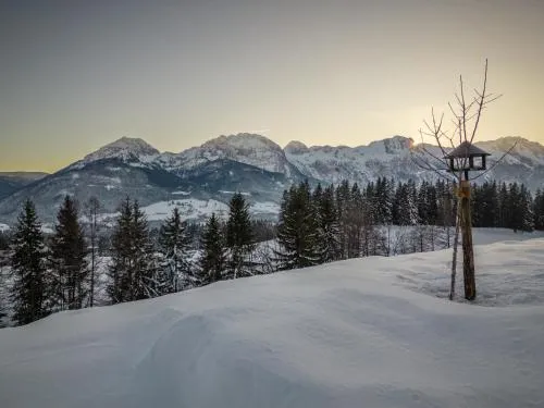 Radochsbergloft in Abtenau, Österreich