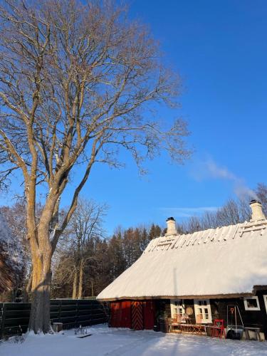 Romantiline talu ja saun Muhumaa südames