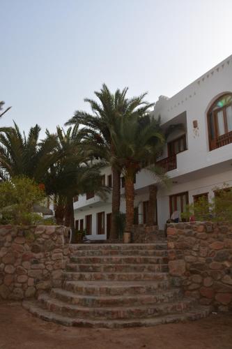 Dahab Divers - image 5
