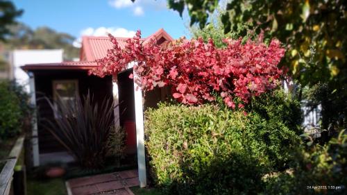 Bella Rouge Cottage - Accommodation - Bright
