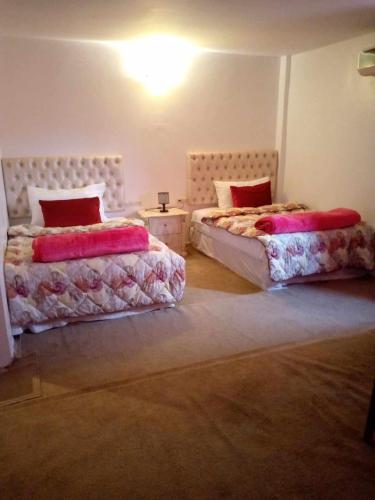 2 king beds, 1 sofa bed