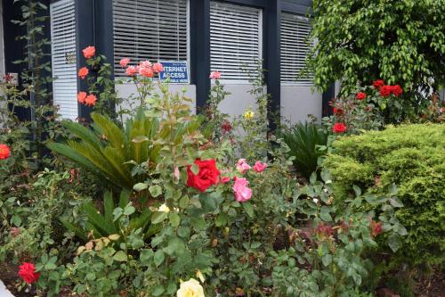 Rose Garden Inn - image 6