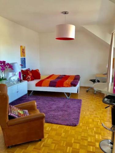 Bright and quite Appartment with Balcony & Skylines View, Kitchen,Bath,Wifi, Fan, Basel