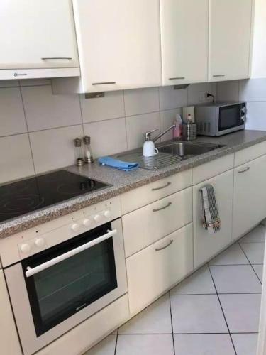 Bright and quite Appartment with Balcony & Skylines View, Kitchen,Bath,Wifi, Fan, Basel (Foto 6)