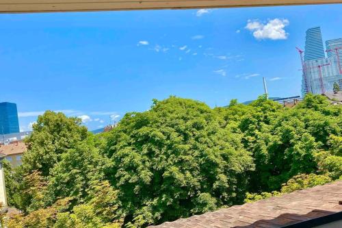 Bright and quite Appartment with Balcony & Skylines View, Kitchen,Bath,Wifi, Fan, Basel (Foto 8)
