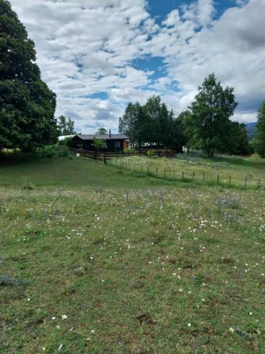 Cabaña entre el Conguillio y Corralco