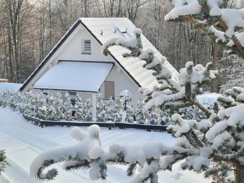 B&B Winterberg - Ferienhaus am Ruhberg - Bed and Breakfast Winterberg