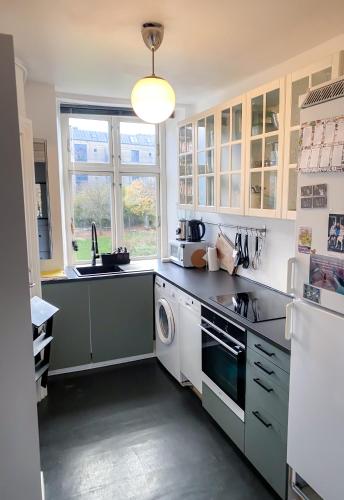 Centrally Located 4 Room Apartment, Copenaghen (foto 6)