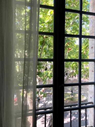 tuin, La bohème place aux herbes (La boheme place aux herbes) in Uzes