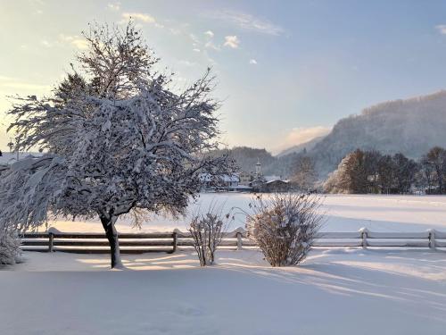 Open Garden Mountain Lodge - Apartment - Oberaudorf