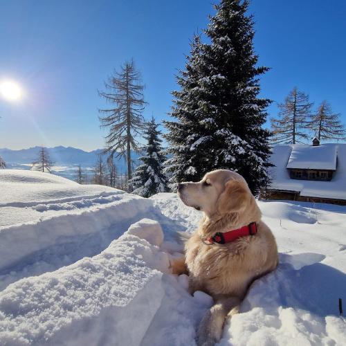 Chalet Petit in Kanzelhöhe, Österreich