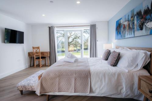 Suite 9 - Sleeping Giant Hotel - Pen Y Cae Inn, Brecon (foto 7)