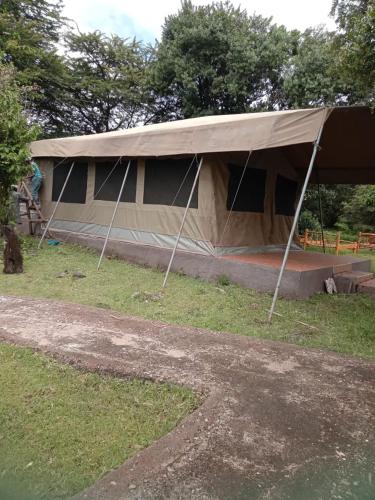 Eco mara forest camp