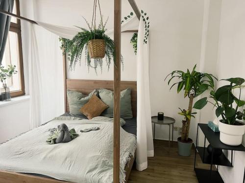 Pretty Home City Jungle in Zwickau, Deutschland