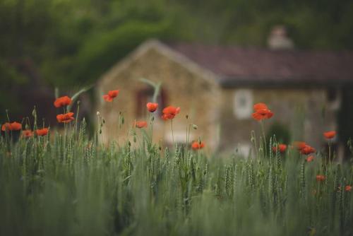 Le Pressoir - domaine du Chateau de La Bourlie - Boutique villa up to 12 guests