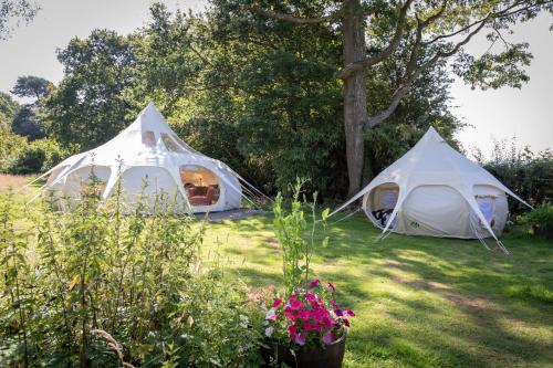 Andromeda Luxe Glamping Oasis, Ross On Wye