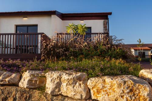 Garden, Roxon Desert Arad in Arad