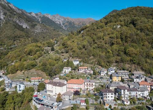 Wild Valley Palm Terrace in Valle Onsernone in Isorno