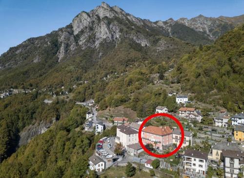 Wild Valley Palm Terrace in Valle Onsernone