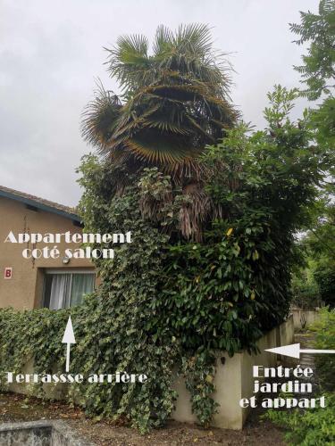 T2 lumineux avec jardinet - Barbotan les Thermes