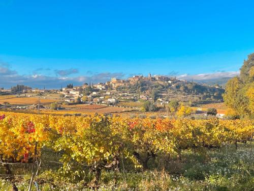 Villa CLÉVIE 3 Étoiles avec piscine privée sur les hauteurs de Faucon, à 15 kilomètres du Mont Ventoux