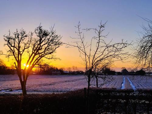 De Bloesemstee - Rustic Manor Farmhouse The Netherlands