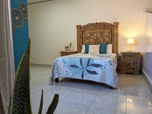 Estudio Balandra cerca del aeropuerto SJD in San José del Cabo, Mexico