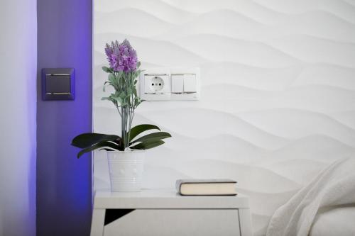 Hostal Alhambra - Adults Only