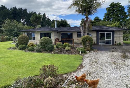 Utvendig, Waitomo Golf Ridge in Waitomo