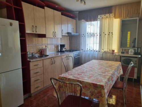 Nice & Relaxing Central Apartment, Baia Mare (zdjęcie 4)