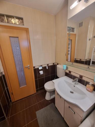 Nice & Relaxing Central Apartment, Baia Mare (zdjęcie 8)