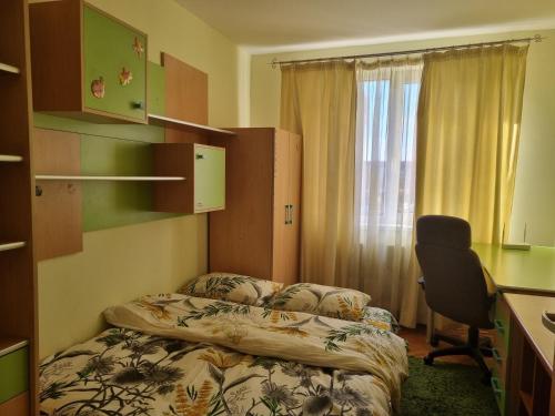 Nice & Relaxing Central Apartment, Baia Mare (zdjęcie 10)