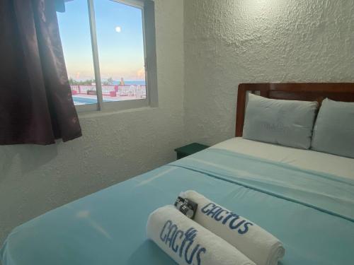 Hotel Casa Cactus HCC in Chachalacas, Mexico