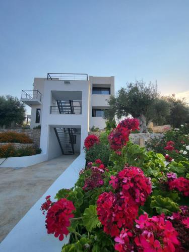 Ionian Sea Villas