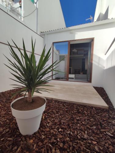 Iekārtas, VUELVE apartamentos in Fuente de Cantos