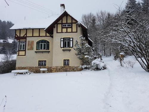 Exterior view, Villa Waldheimat in Semmering