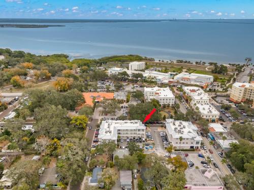 NEW! Canopy Cabana - Luxury Downtown Apartment in Safety Harbor, USA