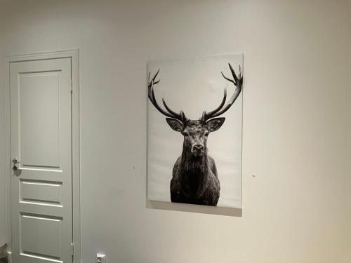 Létesítmények, Bella Hostel in Turku City Center