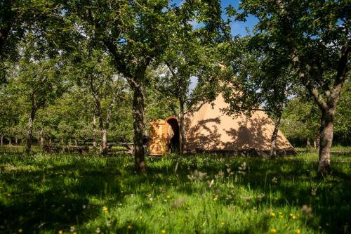 Torre Cider Farm