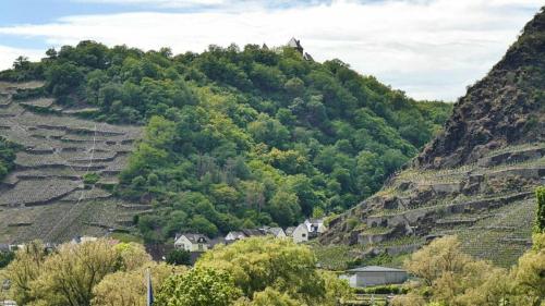 附近景點, Ferienwohnung Dieblich an der Mosel in 迪布利希