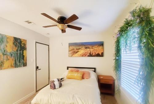 Austin Uncommon Room Rentals